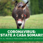 Coronavirus: intervista al Medico Perugino del post diventato virale